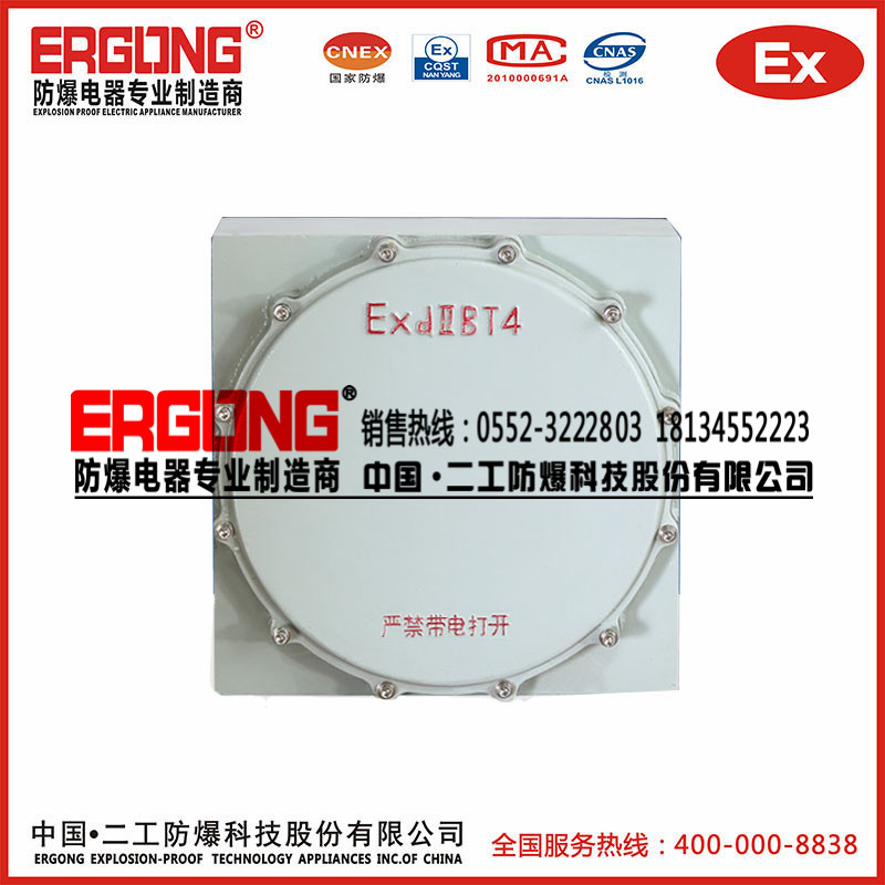 防爆接线箱C级